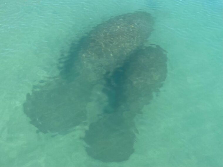 fort-pierce-8-hr-jungle-and-lagoon-passage-to-ocean-in-fl