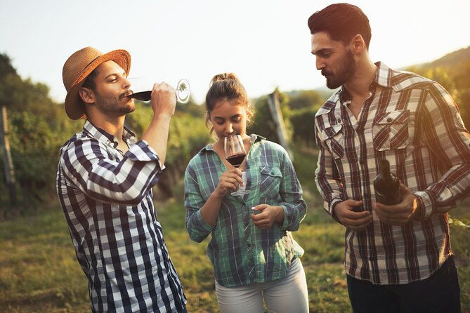 frankfurt-wine-tasting-tour-with-a-wine-expert