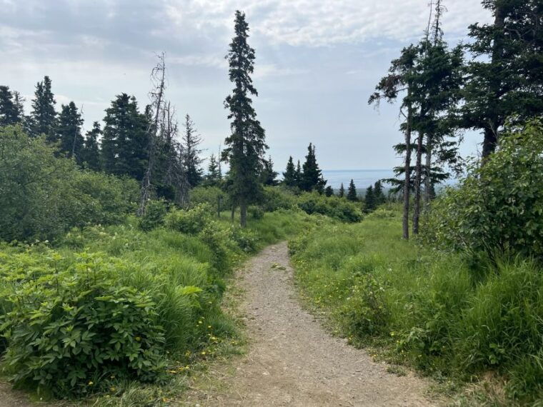 from-anchorage-chugach-state-park-walk-with-naturalist