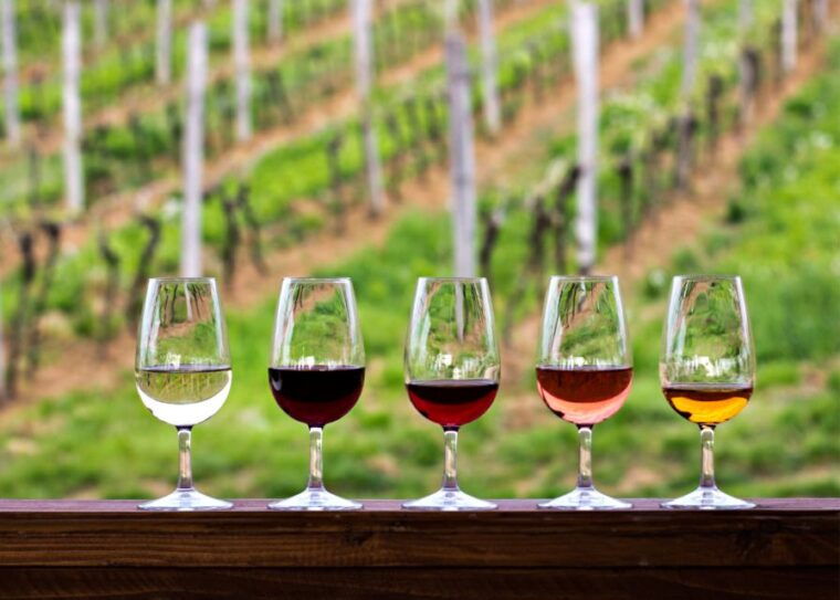 from-austin-half-day-hill-country-wine-shuttle