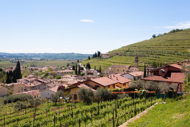 from-bologna-verona-and-valpolicella-day-tour