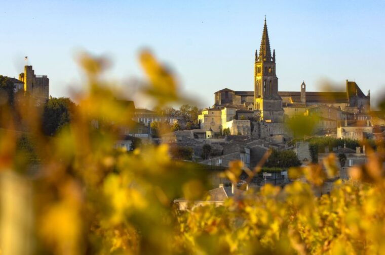 from-bordeaux-full-day-st-emilion-wine-tasting-tour