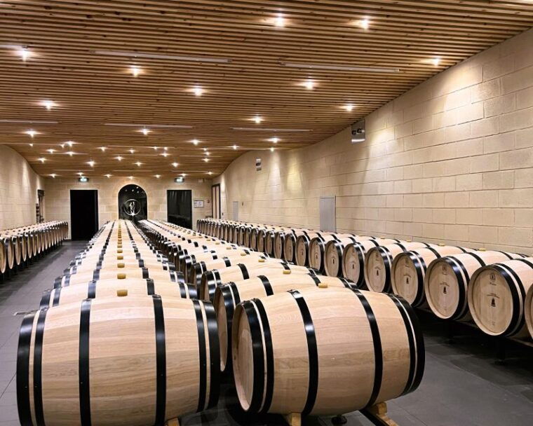 from-bordeaux-saint-emilion-day-trip-with-lunch-and-wine