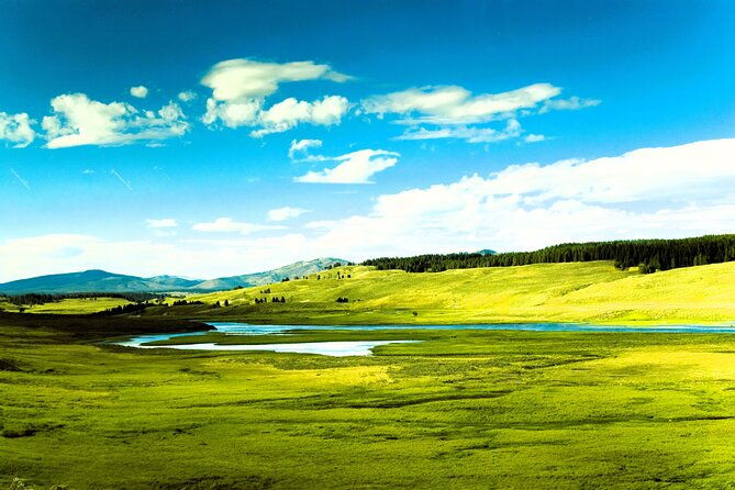 from-bozeman-exclusive-yellowstone-tour-2-days-and-1-night