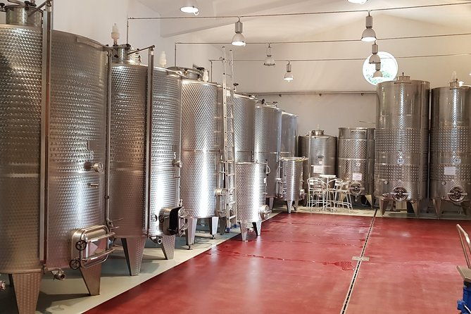 from-civitavecchia-tuscany-latium-wine-tour-with-tastings