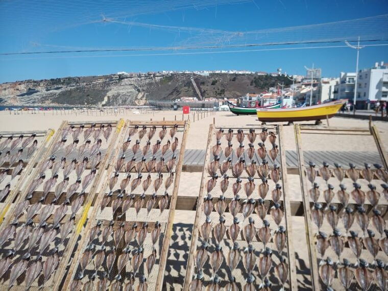 from-coimbra-fatima-sanctuary-batalha-alcobaca-and-nazare