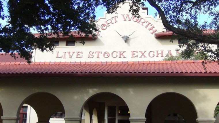 from-dallas-fort-worth-guided-day-tour