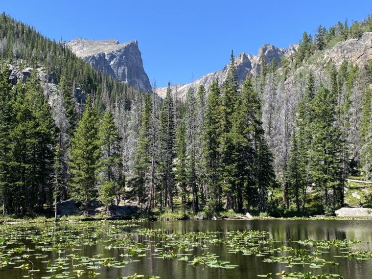 from-denver-rocky-mountains-jeep-tour-with-picnic-lunch