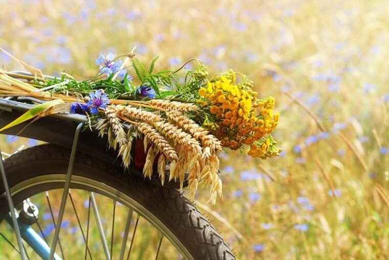 from-florence-tuscany-by-e-bike-with-lunch-and-wine-tasting