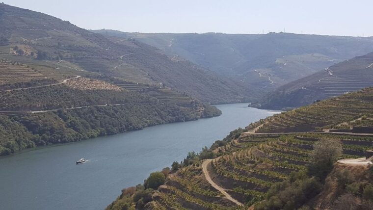 from-gaia-douro-valley-tour-wine-tasting-river-cruise-lunch