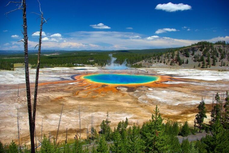 from-jackson-yellowstone-day-tour-including-entrance-fee