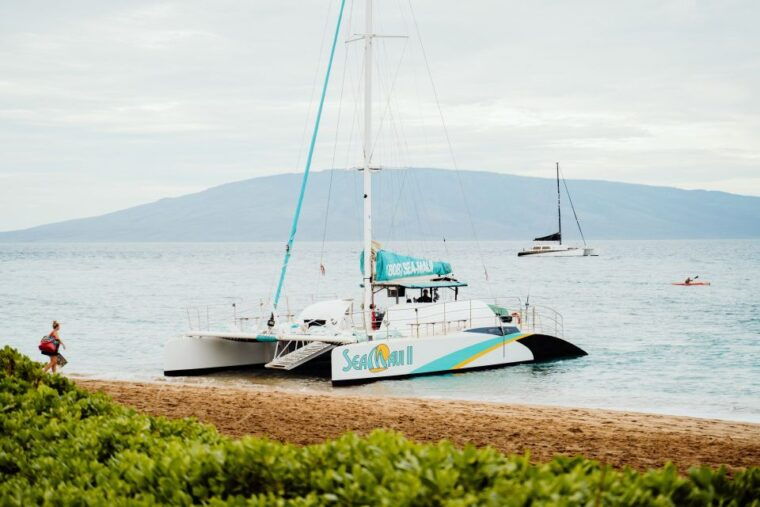 from-kaanapali-afternoon-west-maui-snorkeling-w-drinks