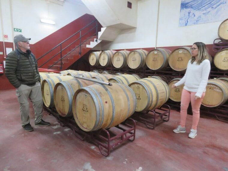 from-lagos-private-algarve-wineries-tour-with-tastings