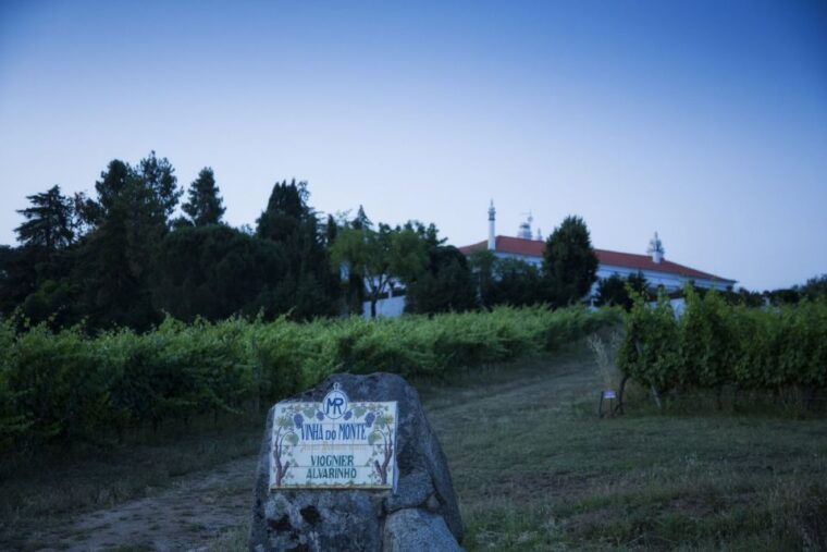 from-lisbon-evora-wine-heritage-tour
