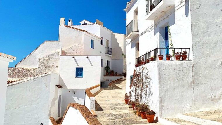 from-marbella-frigiliana-nerja-food-history-day-tour