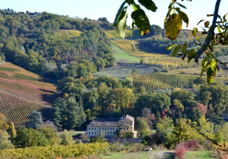 from-milan-pavia-oltrepo-pavese-private-day-trip-w-lunch