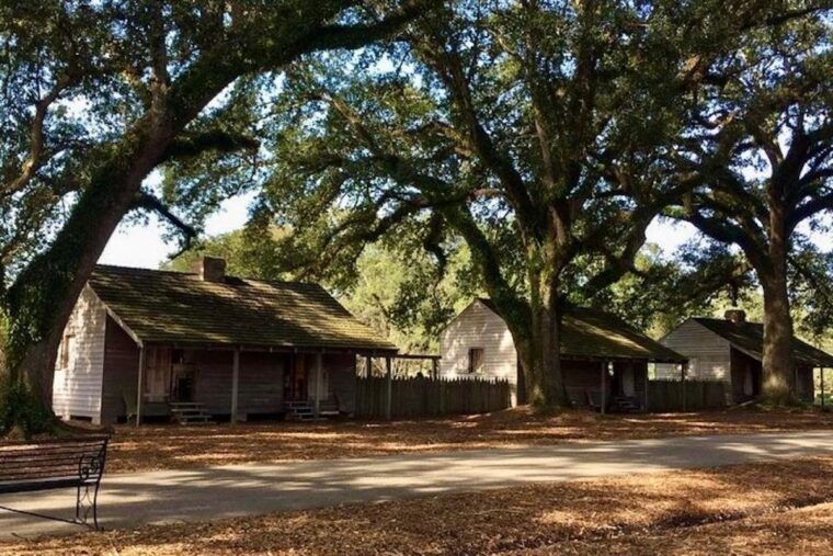 from-new-orleans-oak-alley-or-laura-plantation-tour