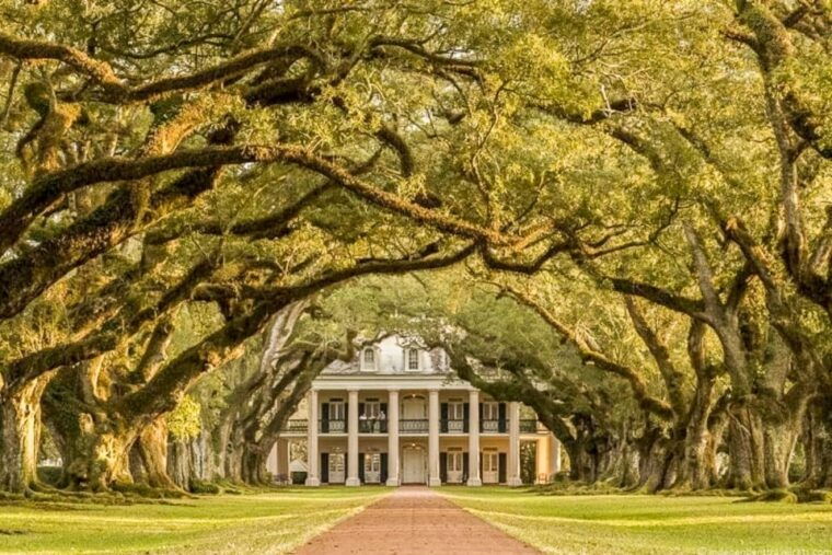 from-new-orleans-oak-alley-plantation-tour