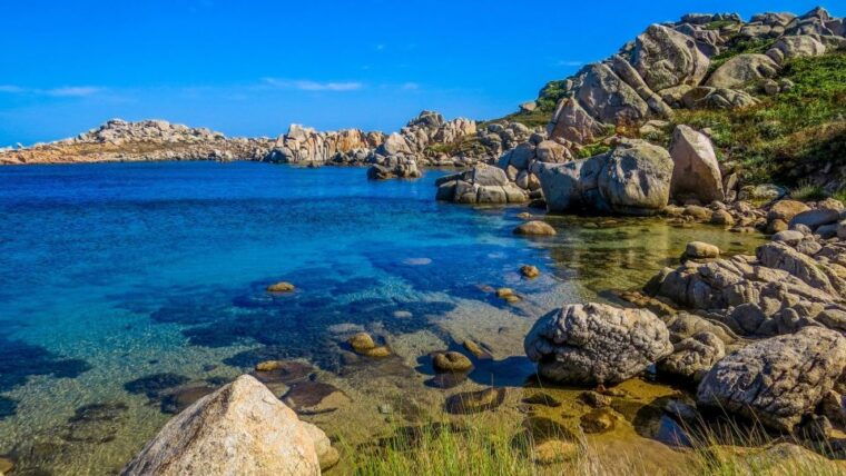 from-palau-corsican-archipelago-half-day-rib-boat-trip