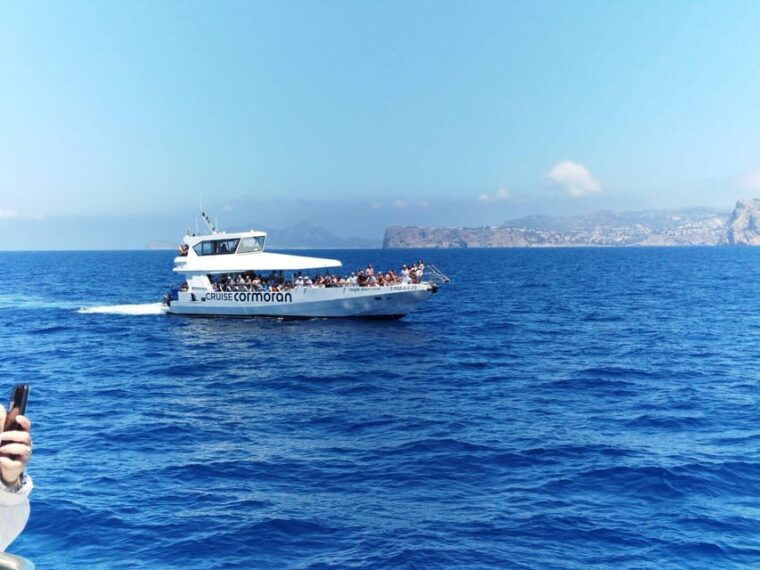 from-palma-afternoon-dolphin-watching-boat-tour