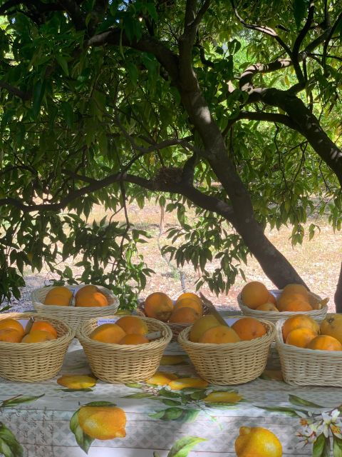 from-palma-soller-valley-walk-and-picnic-in-orange-farm