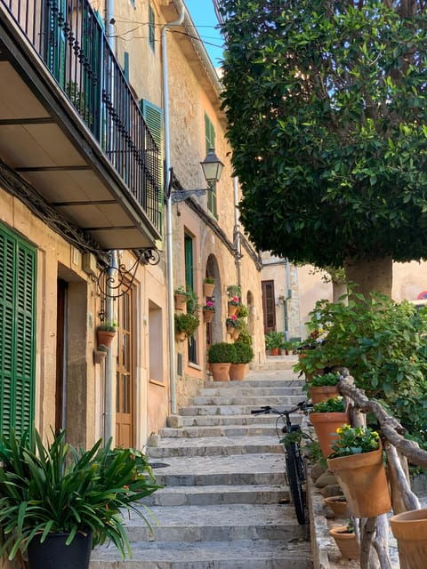 from-palma-valldemossa-tour-and-mountain-viewpoint-hike