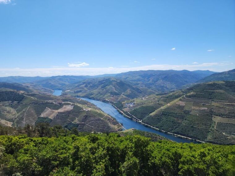 from-peso-da-regua-visit-3-wineries-tasting-and-viewpoint