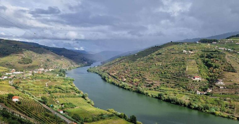 from-porto-day-douro-valley-wine-tour-2-wineries-lunch