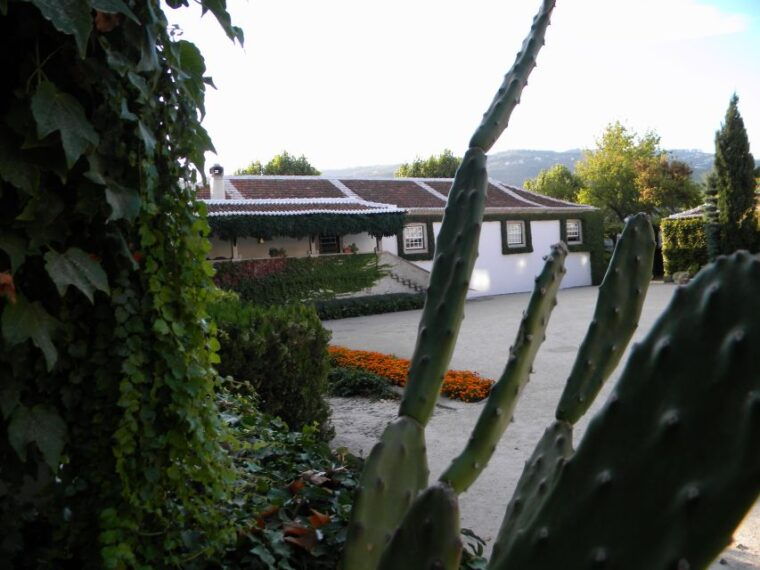 from-porto-private-douro-valley-tour-with-booking-service