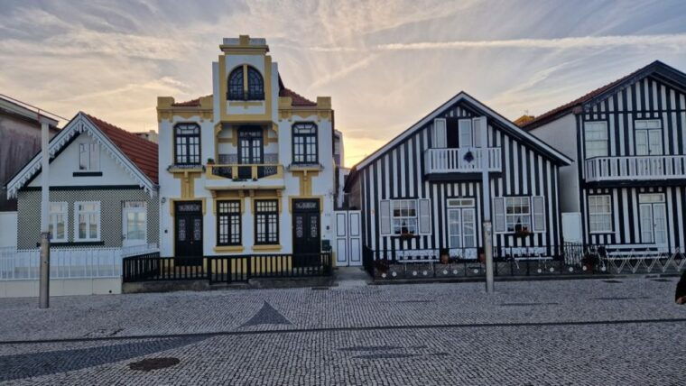 from-porto-private-tour-half-day-in-aveiro-and-costa-nova