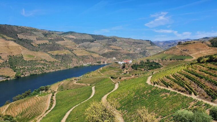 from-porto-private-wine-tour-with-2-tastings-boat-and-lunch