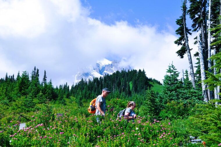 from-seattle-customized-mount-rainier-tour
