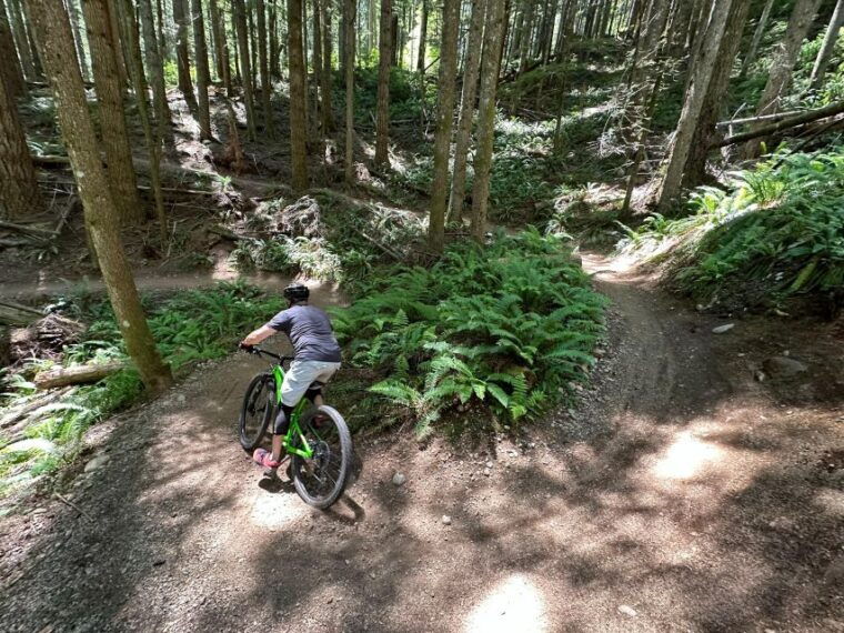 from-seattle-full-day-all-inclusive-mountain-bike-tour