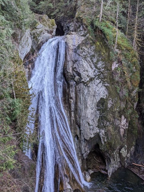 from-seattle-snoqualmie-twin-falls-and-ancient-forest-trip