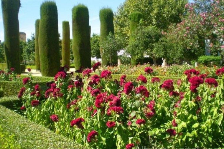 from-seville-cordoba-full-day-tour-with-tickets-included