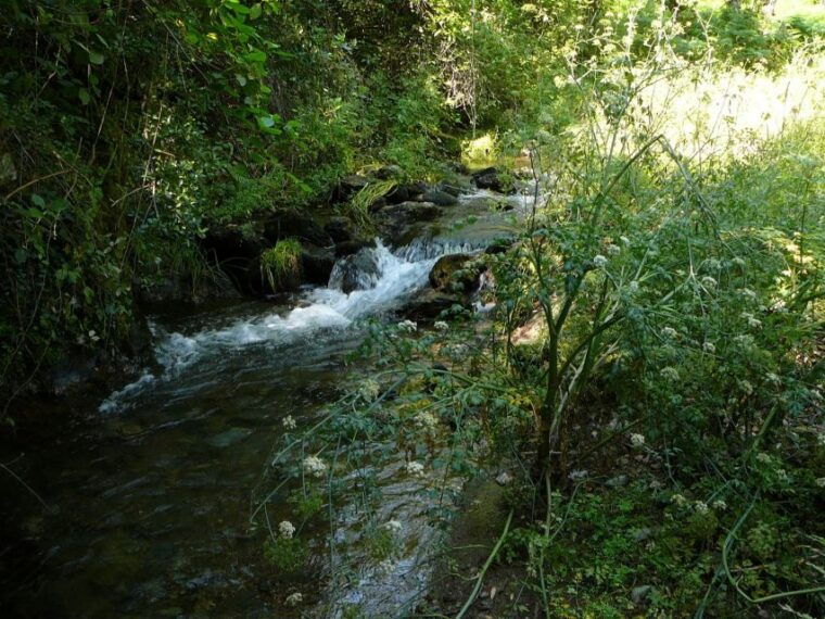 from-seville-full-day-aracena-rio-tinto-mines-tour