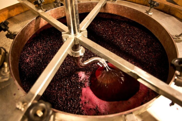 from-siena-chianti-wine-tour-with-lunch