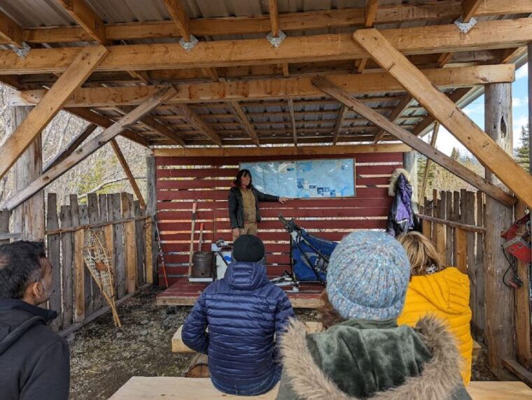 from-skagway-yukon-sled-dog-mushing-white-pass-combo