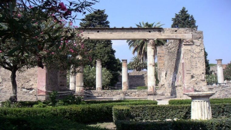 from-sorrento-pompeii-and-mount-vesuvius-tour