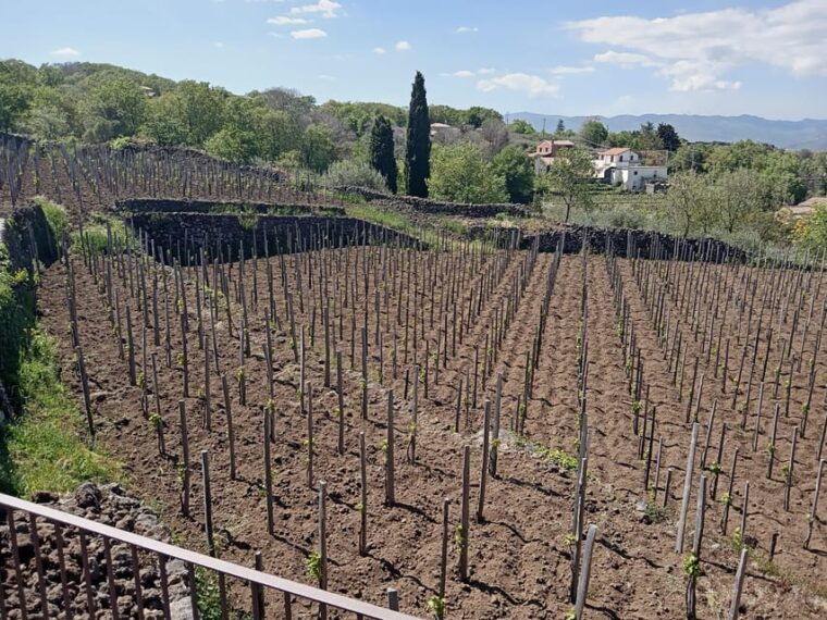 from-taormina-etna-snowshoe-walking-food-and-wine-tasting