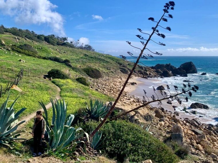 from-tarifa-guided-hiking-tour-in-the-strait-natural-park