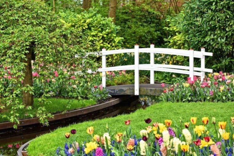 from-the-hague-private-tour-to-keukenhof-tulip-experience