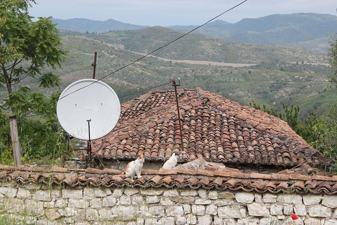 from-tirana-day-trip-to-berat-historical-walking