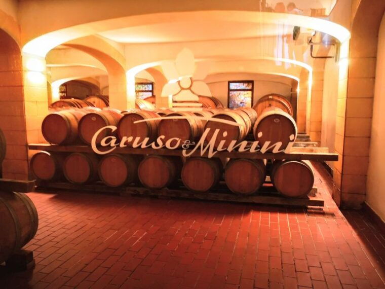 from-trapani-salt-road-tour-with-winery-visit-and-boat-trip