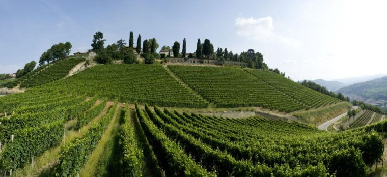 from-turin-half-day-truffle-hunting-and-lunch-in-piedmont