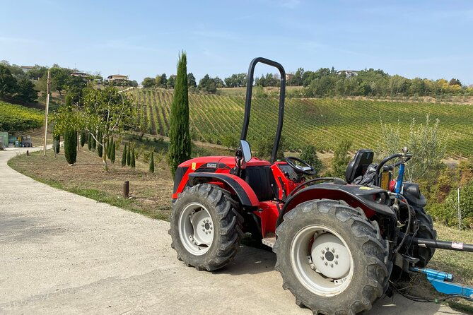 from-verona-modena-trip-parmigiano-factory-vinegar-ferrari