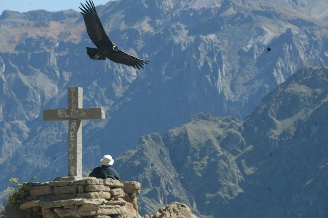 full-day-colca-canyon-tour-from-arequipa