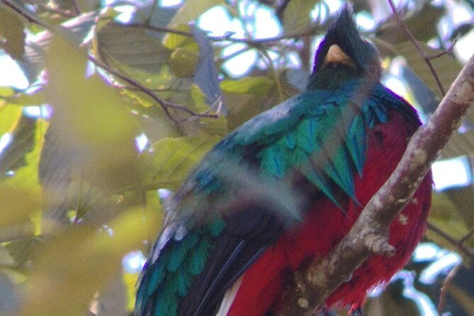 full-day-hiking-and-bird-watching-at-savegre-river-san-gerardo-near-to-san-jose