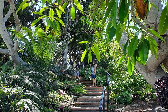 full-day-self-guided-electric-bike-tour-of-north-san-diego-coast