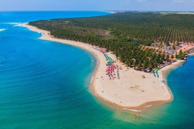 full-day-trip-to-gunga-beach-from-maceio